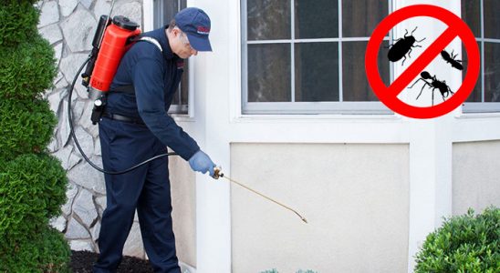 Turgutlu Böcek İlaçlama böcek ilaçlama ve haşere kontrolü — ilaclama-tr.com